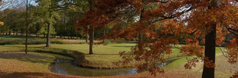 Baest4 1300x430 1 768x254