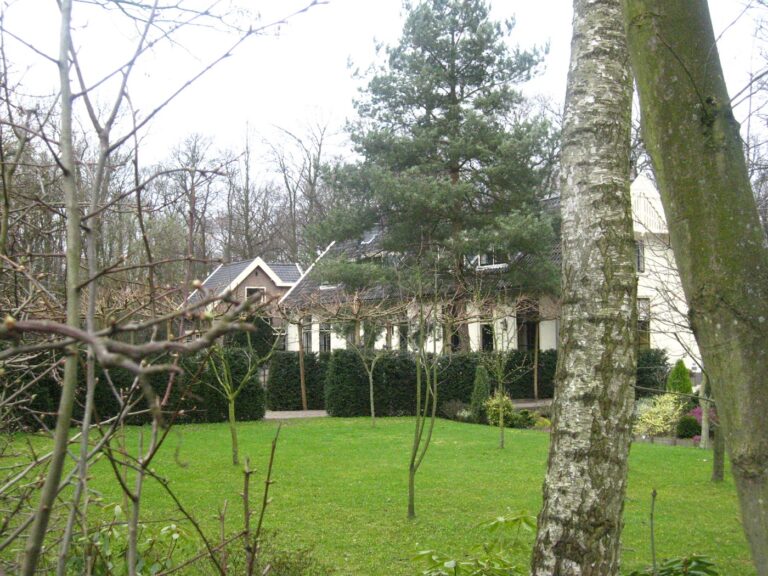 Berbice Koetshuis CC Goodness Shamrock 768x576