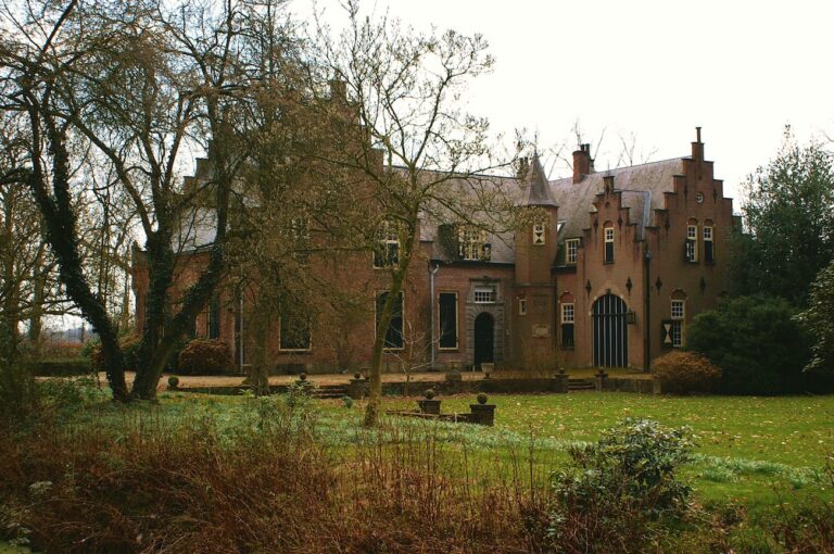 De Wamberg CC Kasteelbeer copy 768x510