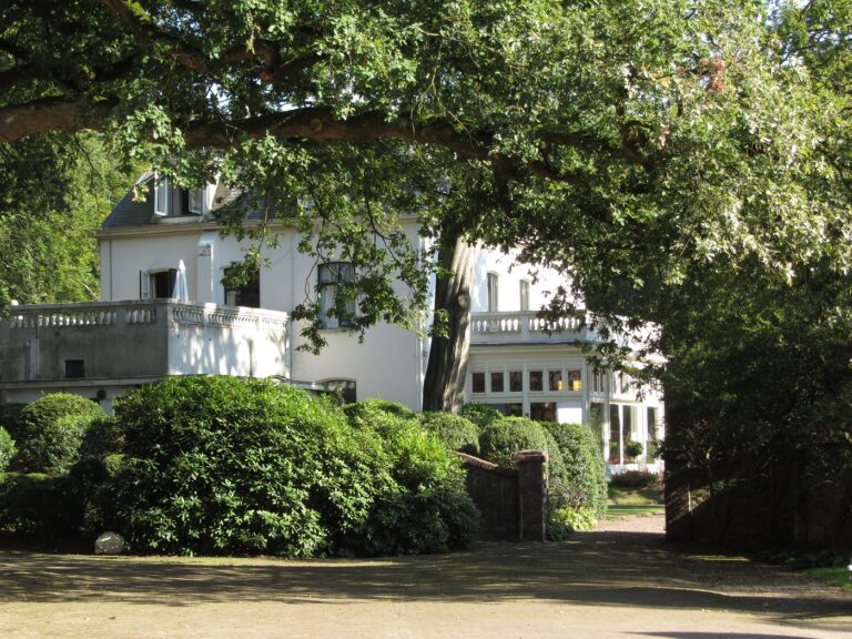 Het Stroot CC TheDJ 768x576