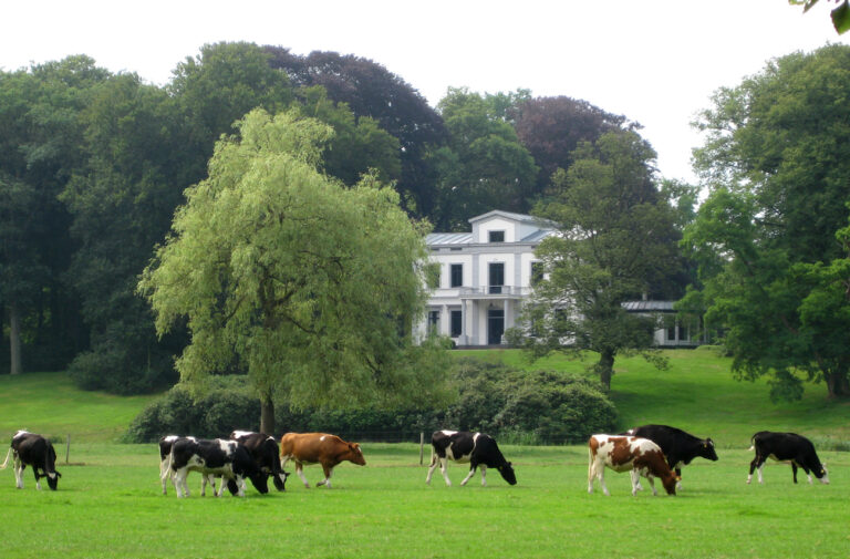 Landgoed Flevorama CC Joost1948 copy 768x505