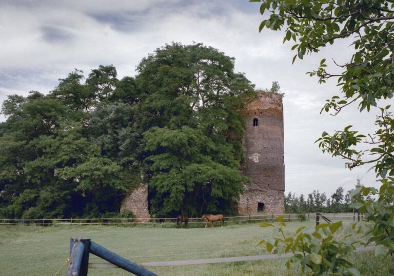 Millen CC Loek Tangel Rijksdienst voor het Cultureel Erfgoed 1 768x538
