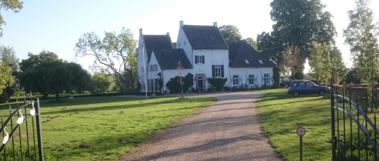 rechtenvrij copy 768x326