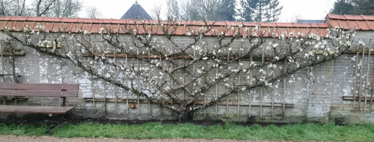 IMG 20240401 094813 845x321 1 768x292