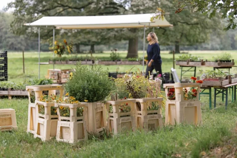 Ambachtelijke Plantenmarkt 01102023 1 1024x683 1 768x512