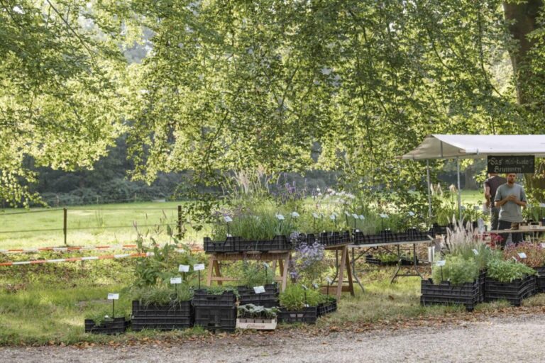 test Ambachtelijke Plantenmarkt 01102023 43 scaled1 1 1024x683 1 1 768x512