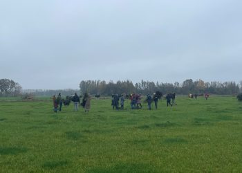 De Tweede plantdag De Strepen